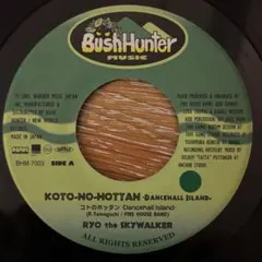 ジャパレゲ 7inchレコードryo the skywalker-コトのホッタン
