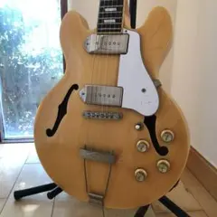 2025年最新】epiphone casino ハードケースの人気アイテム