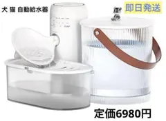 Item thumbnail for item c6b53d1d-8773-4a1d-a15e-3e83b1a42164