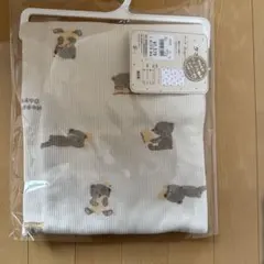 Item thumbnail for item 62238159-90d6-4cc6-892a-4889040a4143