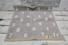 Item thumbnail for item 6d35ba66-9052-498d-ae1f-3925871579f0