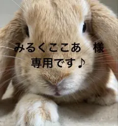 みるくここあ　様　　専用です♪
