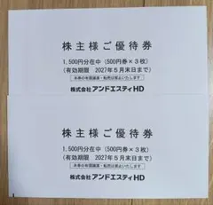 アンドエスティ 株主優待 3000円相当のサムネイル