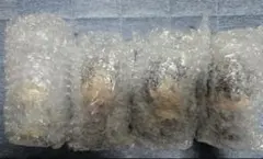 一番くじ 幽遊白書 暗黒武術会編 vol.3 F賞 SOFVICちゅコンプセット