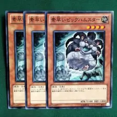 素早い ビッグハムスター ABPF スーパー 英語 遊戯王 - メルカリ