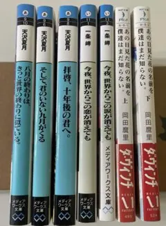 人気小説 文庫本 27冊セット まとめ売り 2026年最新】小説まとめ売りの人気アイテム - メルカリ