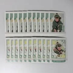 忍たま乱太郎 ぱしゃこれ 第4弾 中在家長次