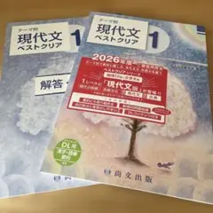 poppo様 リクエスト 2点 まとめ商品