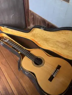 2026年最新】FERNANDES GC 20の人気アイテム - メルカリ
