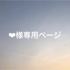 ‪‪❤︎‬様専用ページ