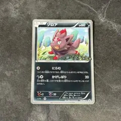 ポケモンカード ゾロア 116/BW-P プロモ - メルカリ