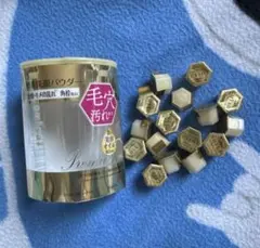 Item thumbnail for item 498bec1d-88f5-49d0-bbbb-abfa64297e11