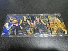 Item thumbnail for item 0434f7cf-dc3d-4b2e-a1d0-440674f4d9cc