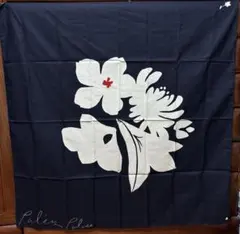 Item thumbnail for item d4300214-43b7-47c6-bc98-93fe6dd8dbaf