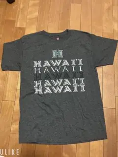 Hanes Hawaii Tシャツ Mサイズ グレー ハワイ大学