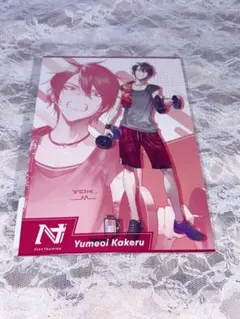 夢追翔 トレーニンググッズ ポスカ