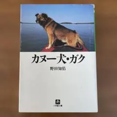 カヌー犬・ガク