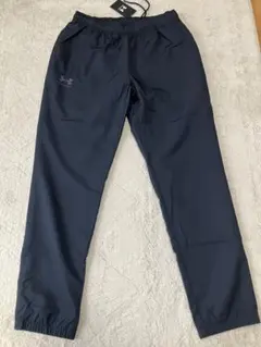 Item thumbnail for item 087315e7-34b1-447a-a358-89573d127e75