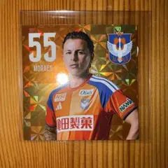 アルビレックス新潟 マテウスモラエス ユニフォーム型ステッカー
