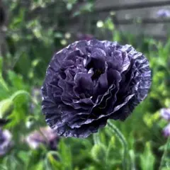 cheermozuku様 リクエスト 2点 まとめ商品