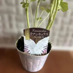 メルカリ