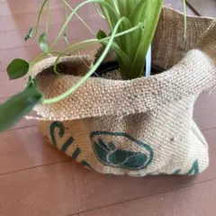 【コーヒー麻袋】