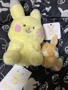 レポートかいてね! ピカチュウ&イーブイ