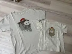 montbell 親子ペア クマTシャツセット