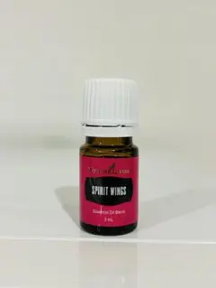 nakafa様 リクエスト 2点 まとめ商品