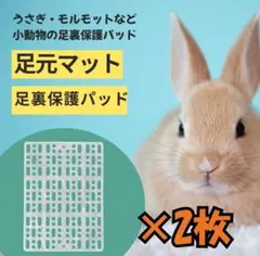 【SALE】足元マット (2枚セット) すのこ うさぎ モルモット ケージ用