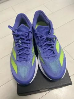 Item thumbnail for item 82fed5c6-f47a-47e0-9ee1-1999e7cb06b2