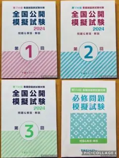 なすもし、チャレンジテスト、全国公開模擬試験、プレテスト等模試解説本 インターメディカル 看護師国家試験 全国統一模擬試験 なすもし 第1〜3