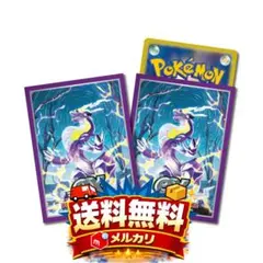 ポケモンカード ゲンシグラードン ゲンシカイオーガ ミニファイル2点