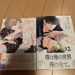 bl2冊