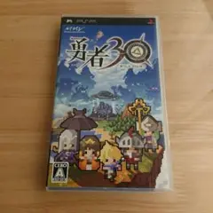 勇者30
