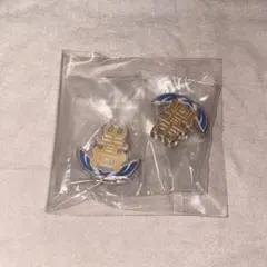 ハイキュー　高校モチーフピンバッチ3　生川高校　2個セット