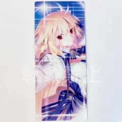 FGO Fes.2025 10周年 アクスタ アーキタイプ アース アルクェイド