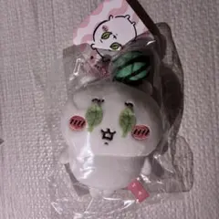 ちいかわ これってスイカ割り？マスコット