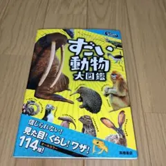 Item thumbnail for item ffe831bb-c19b-4d1c-9109-2edd90b4d569