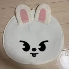 StrayKids リノ Leebit うちわケース