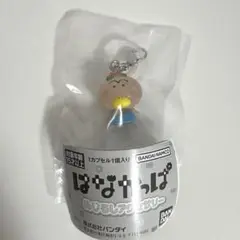 はなかっぱめじるしアクセサリー