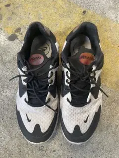 Nike Air Max スニーカー