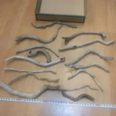 Item thumbnail for item 5f210a34-73a6-4867-a1e8-467f2f802298