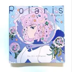 meyoco Polaris アートブック