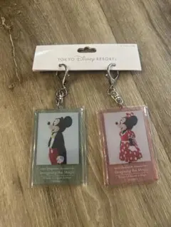 東京ディズニーリゾート ミッキー ミニー アクリルキーホルダー2個セット