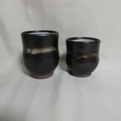 Item thumbnail for item e086838e-5264-467d-a7c5-88b02b2e5637