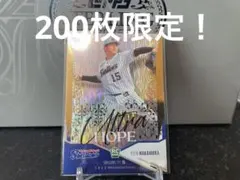 Item thumbnail for item 95997784-ebdd-4206-a0ce-2e9607588094