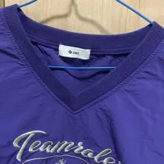 SM2 Vネック プルオーバー パープル