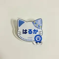 2025年最新】七瀬遙 缶バッジの人気アイテム - メルカリ