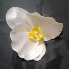 【264】 ヘッドドレス